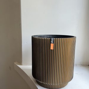 ruukkukultamusta Capi - ruukku